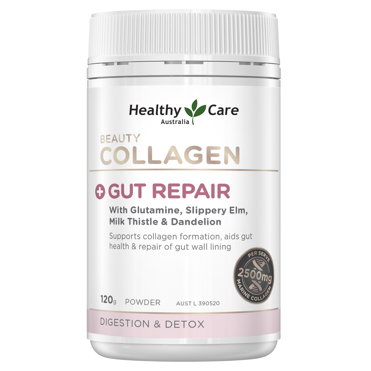 Healthy Care Beauty Collagen + Gut Repair 120g